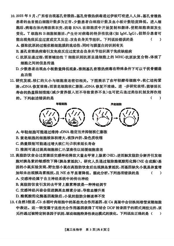 18123329第3页