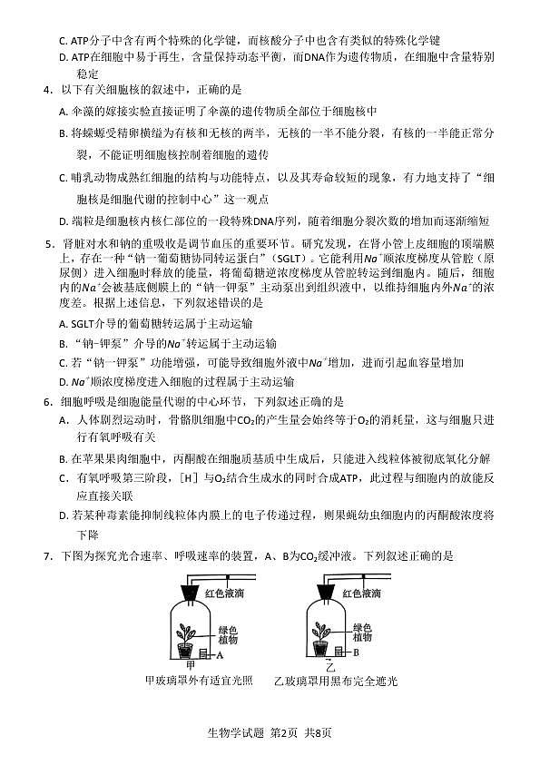 18123333第2页