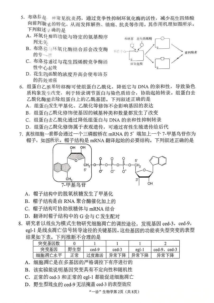 18123334第2页