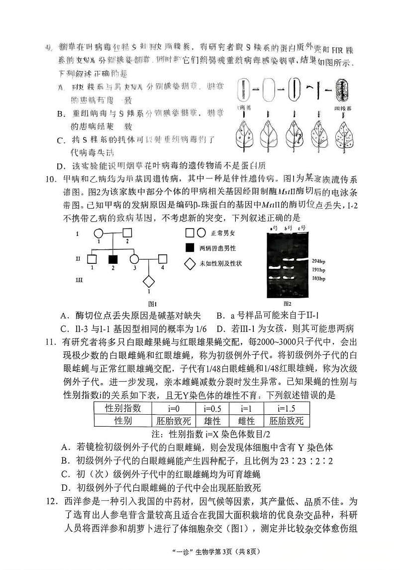 18123334第3页