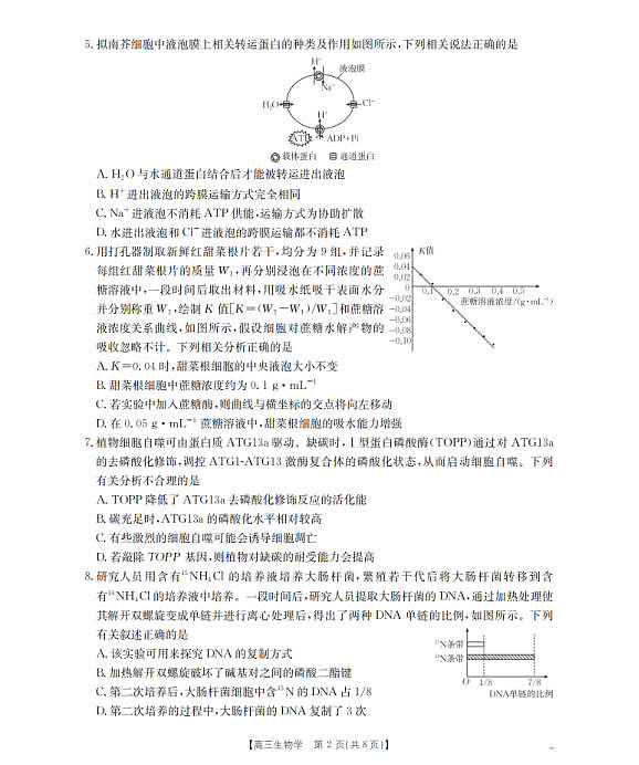 18123335第2页