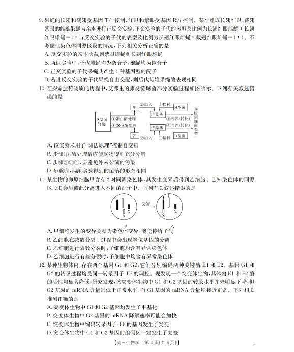 18123335第3页