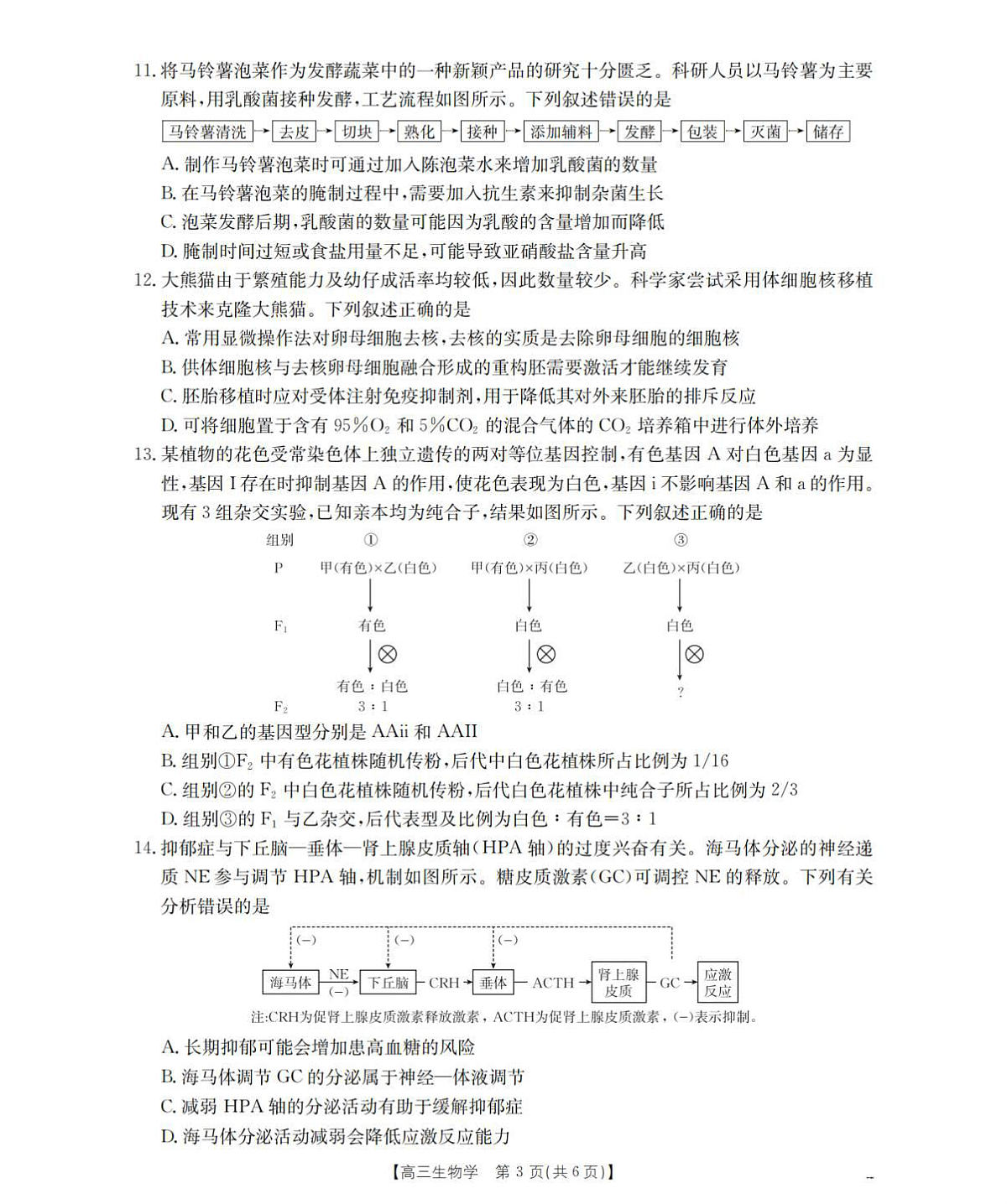 18123338第3页