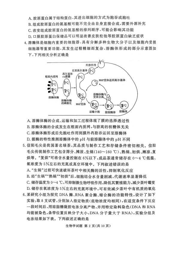 18123340第2页