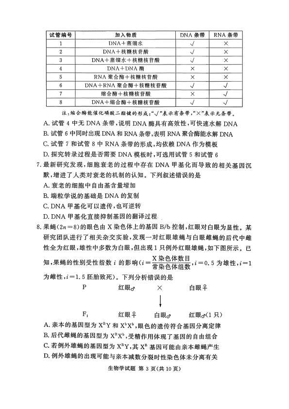 18123340第3页