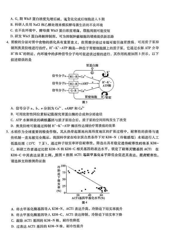 18123342第2页