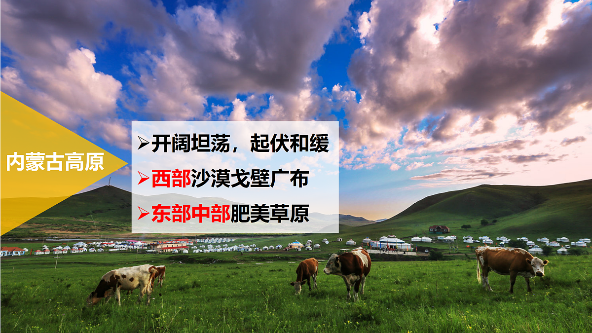 18123490第8页