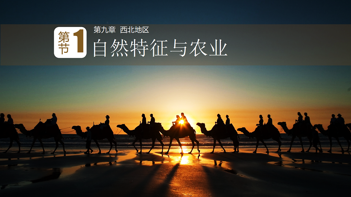 18123492第1页