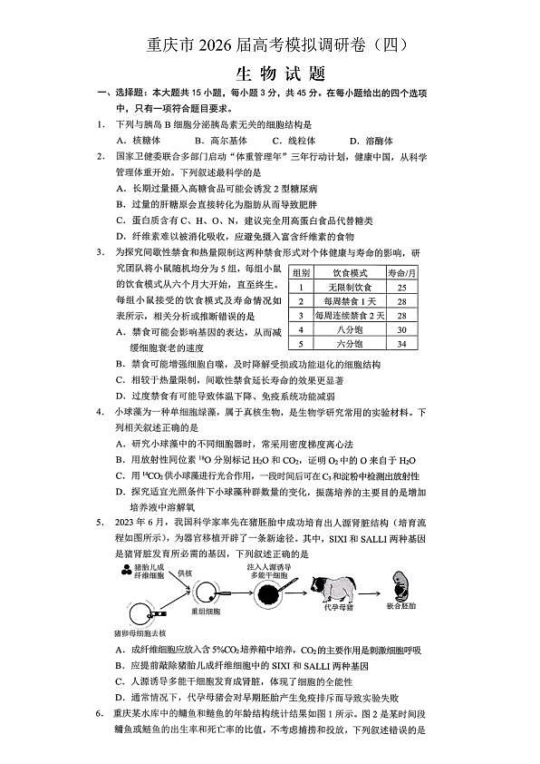 18123538第1页