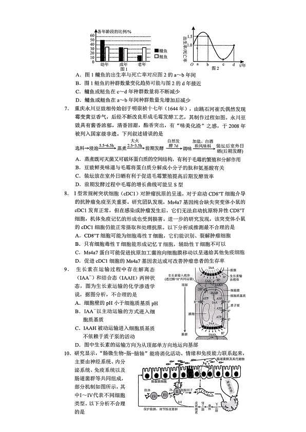 18123538第2页