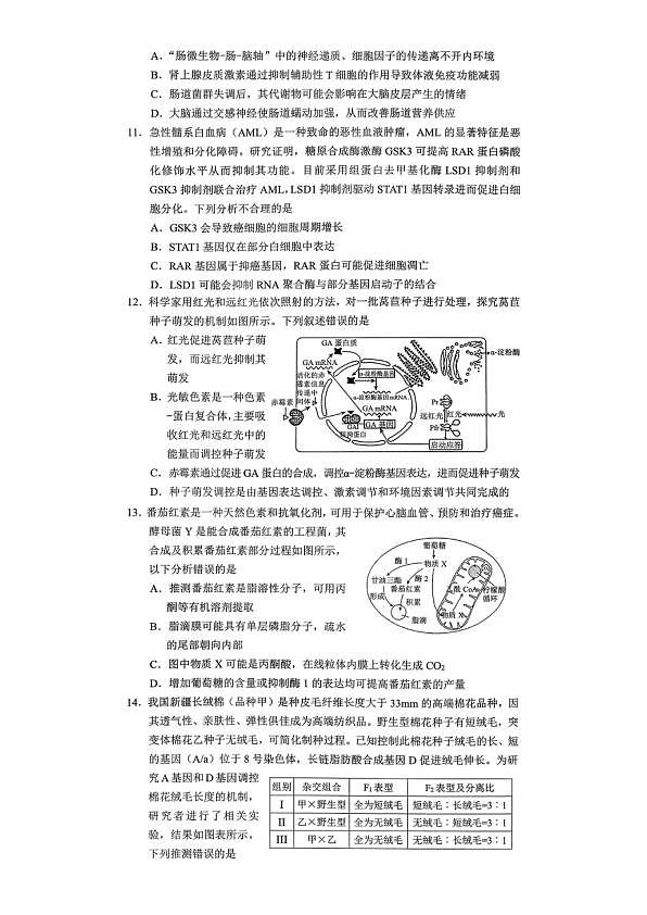 18123538第3页