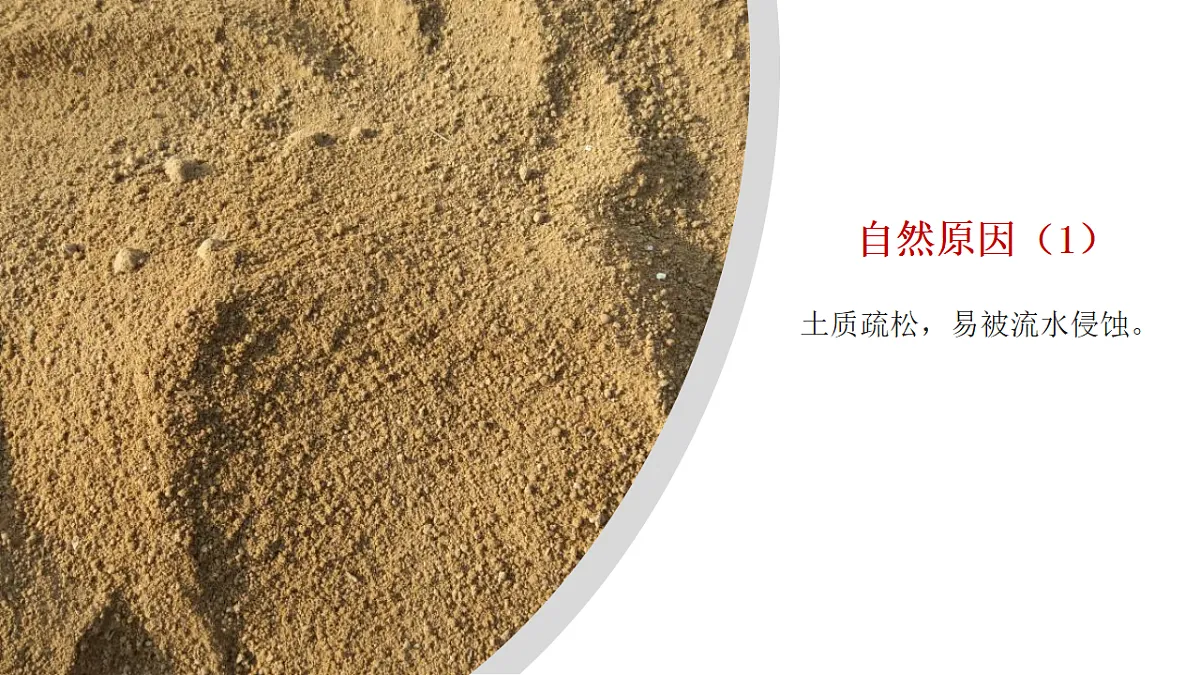 7.3.2 世界最大的黄土堆积区—黄土高原 - 初中地理八年级下册 同步教学课件（人教版2024）第7页