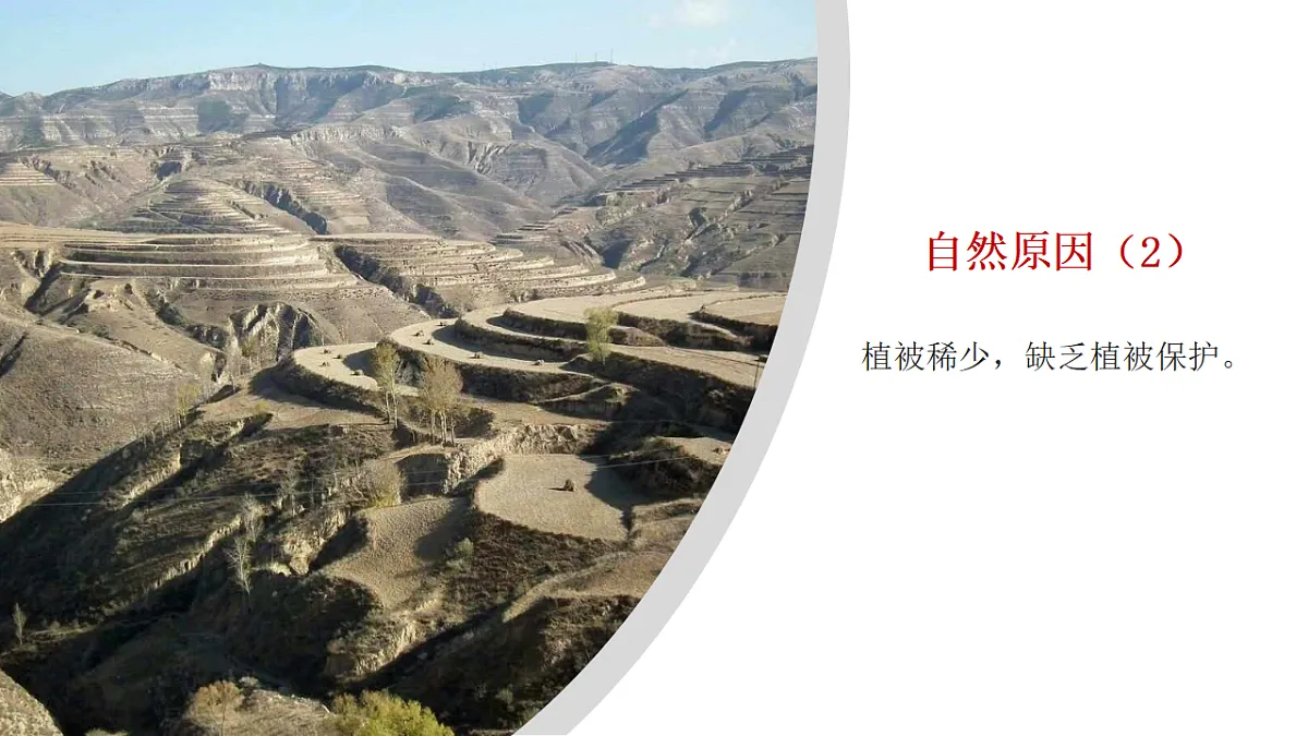7.3.2 世界最大的黄土堆积区—黄土高原 - 初中地理八年级下册 同步教学课件（人教版2024）第8页