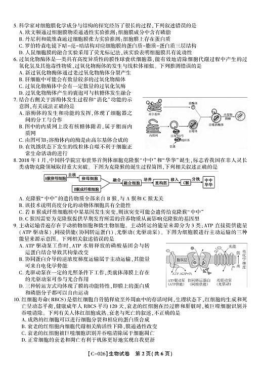 18124420第2页