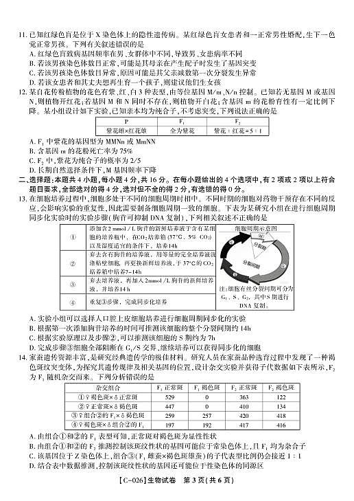 18124420第3页