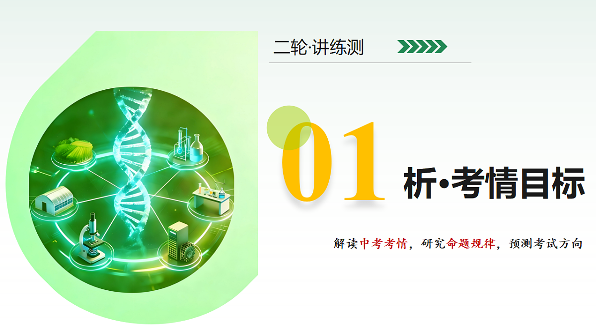 18124515第3页