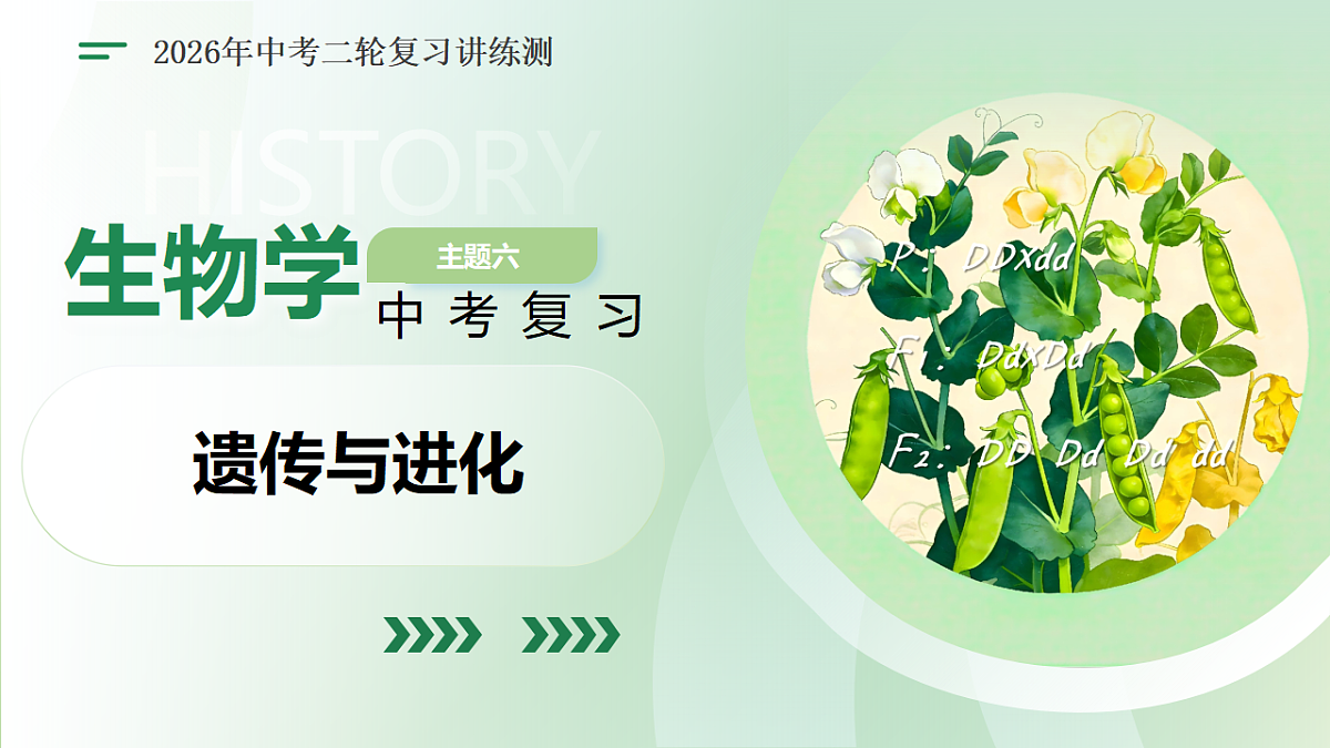 18124519第1页