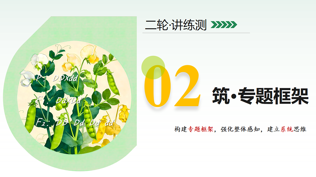 18124519第5页
