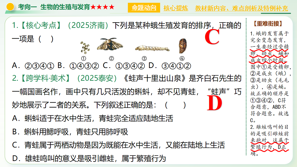 18124519第8页
