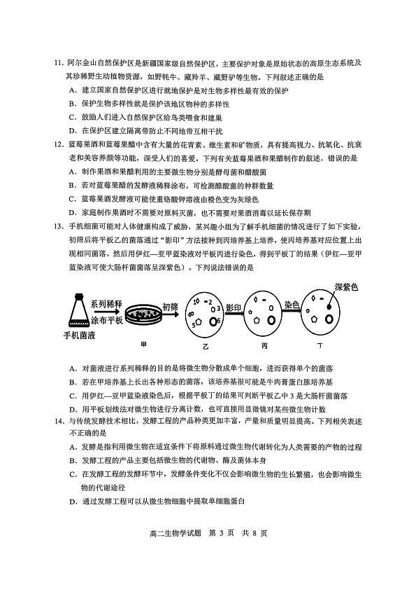 18125041第3页