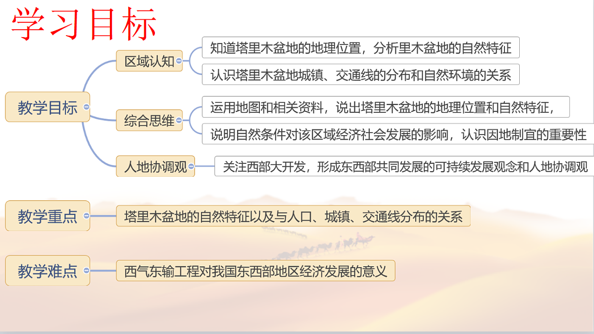 18125113第3页