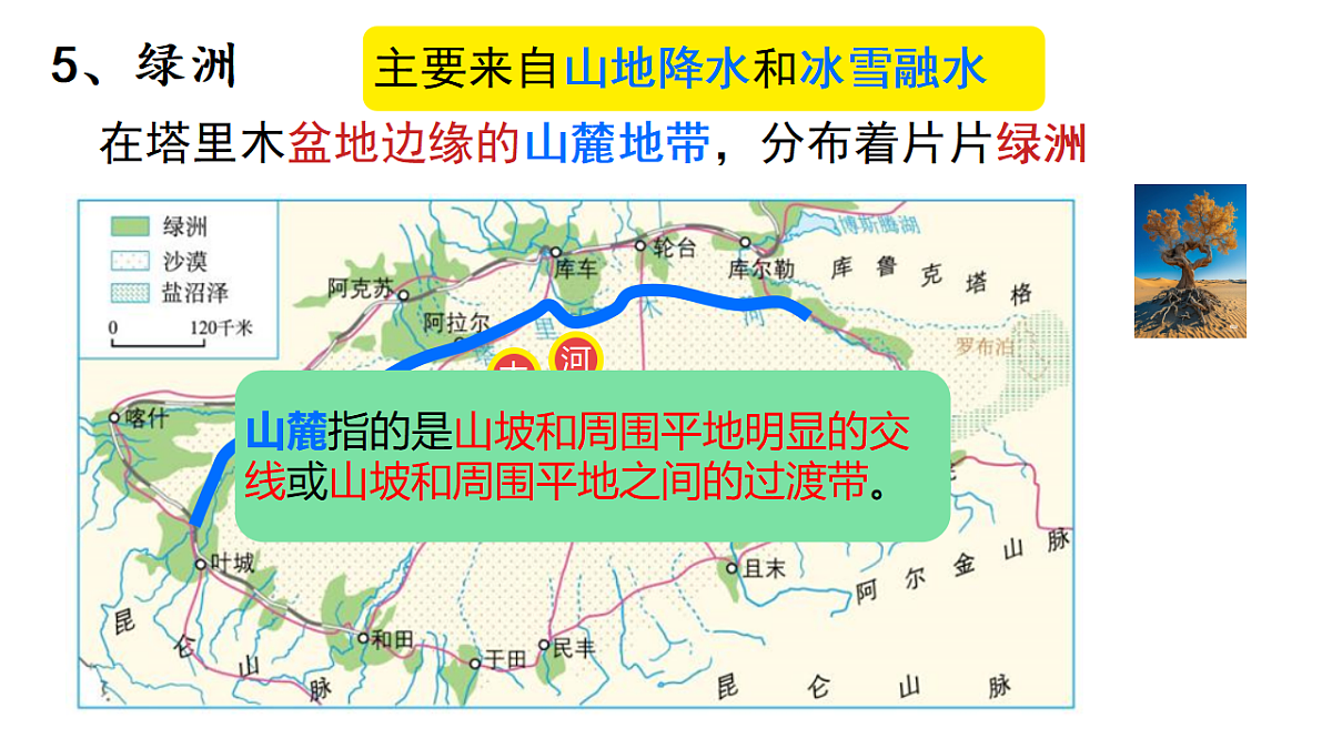 18125115第7页