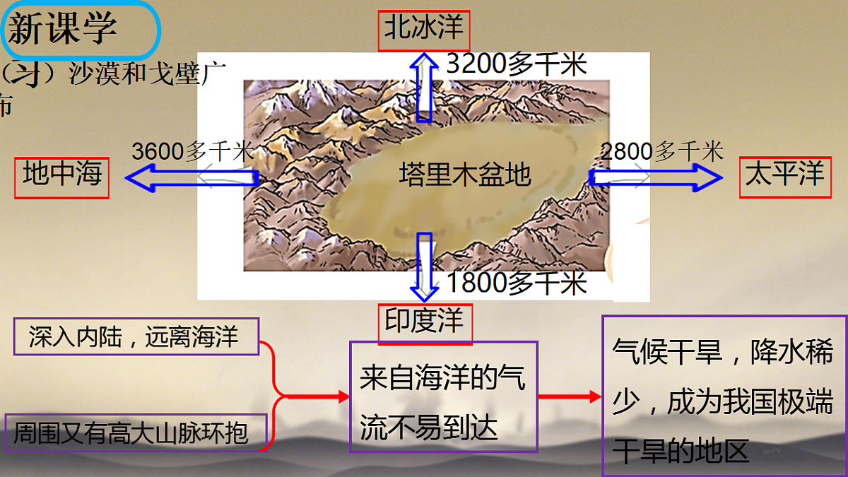 18125116第3页