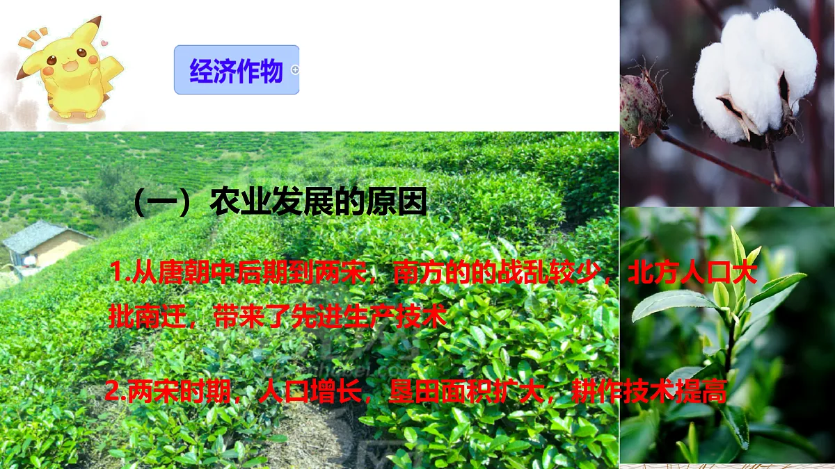 18125156第3页