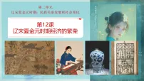 历史七年级下册（2024）宋夏金元时期经济的繁荣课堂教学ppt课件