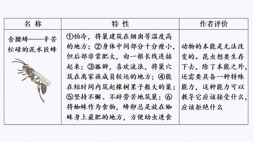 18125819第7页