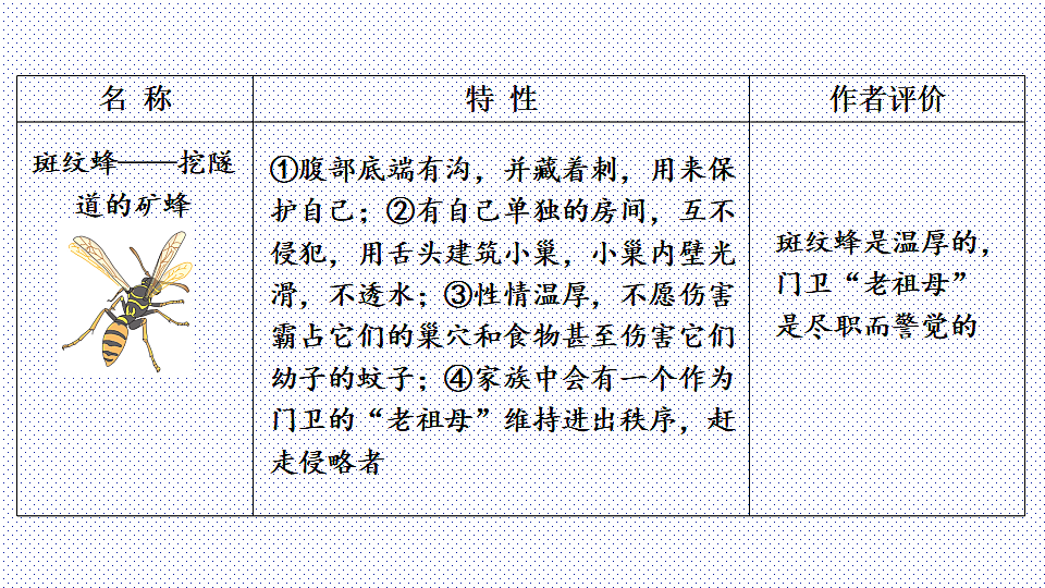 18125819第8页