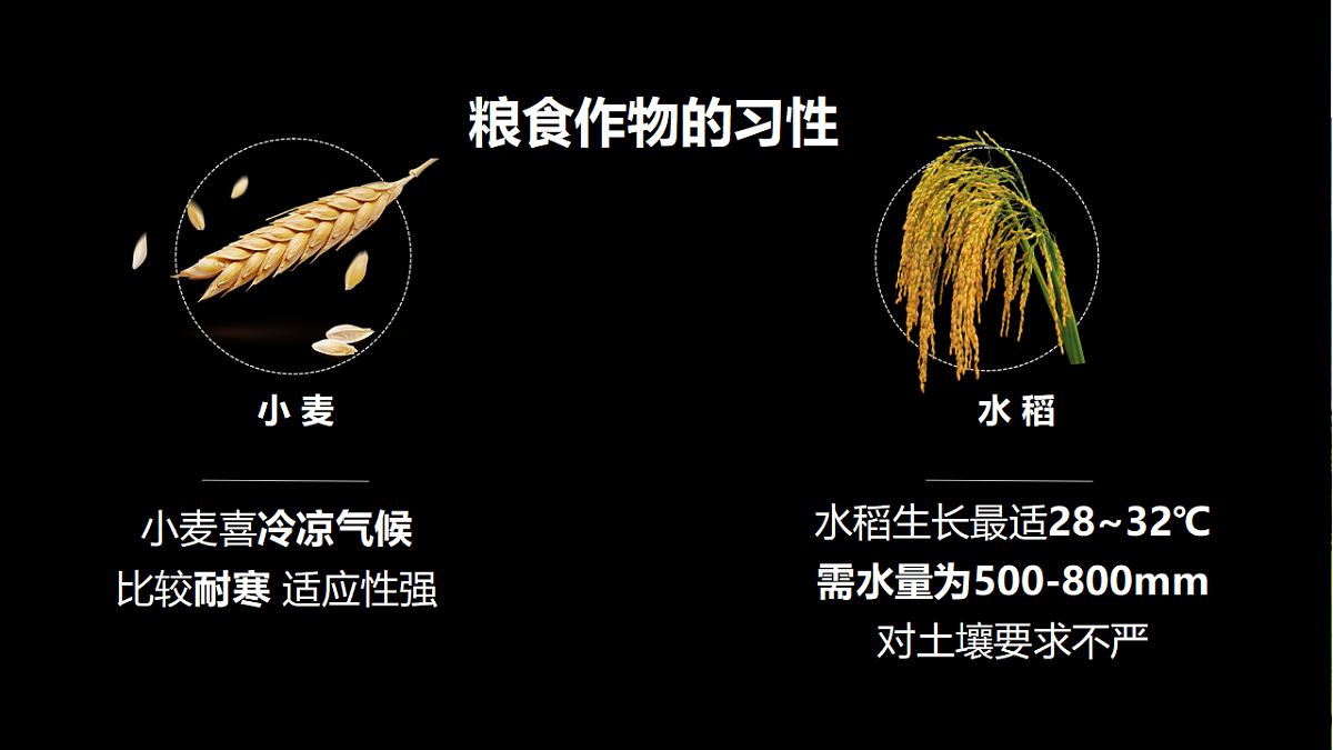 18126996第8页