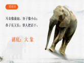 统编版语文二年级下册课件《阅读18 大象的耳朵》