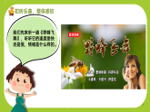 花城版（2024）小学音乐二年级下册《野蜂飞舞》教案+课件+素材