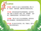 花城版（2024）小学音乐二年级下册《什么船儿》教案+课件+素材