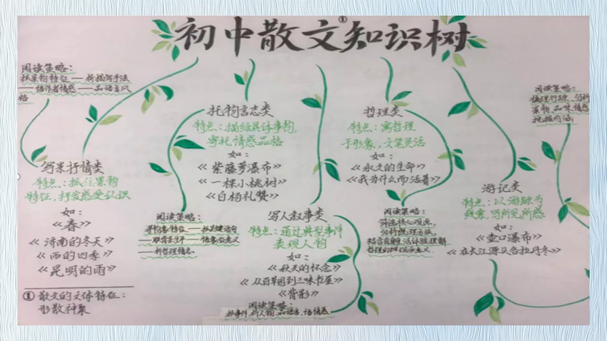 18128481第7页