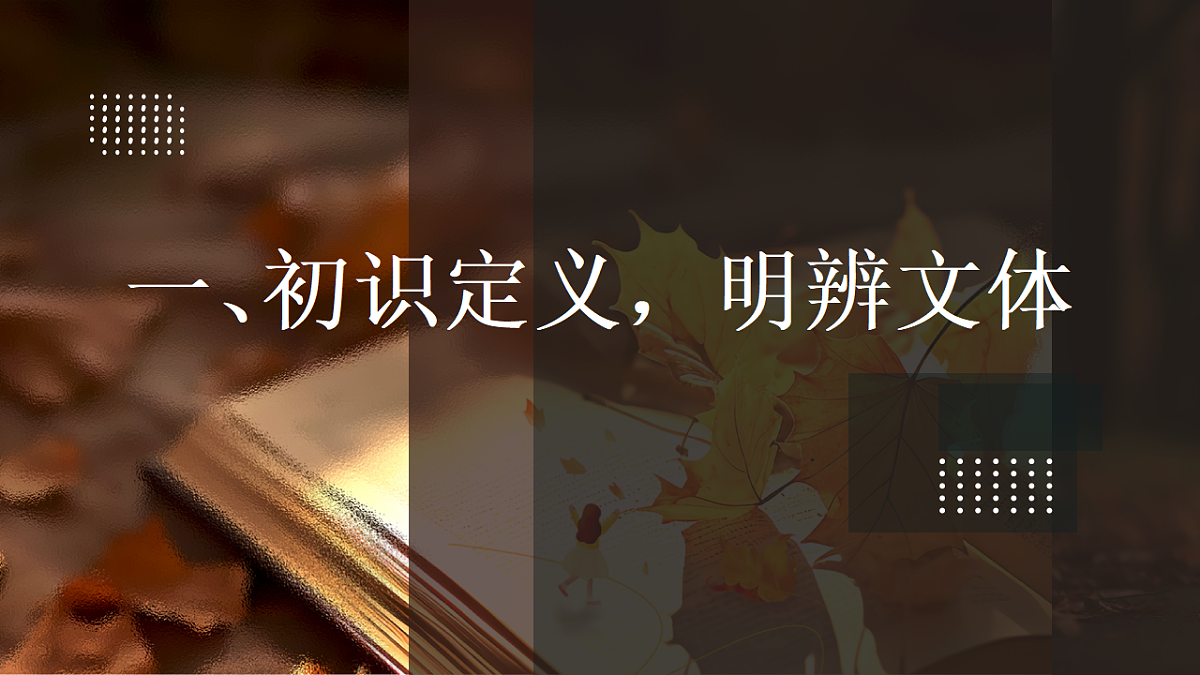 18128513第3页