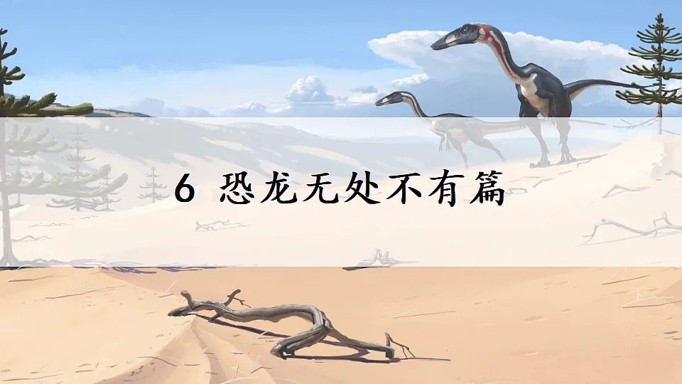 18128550第2页