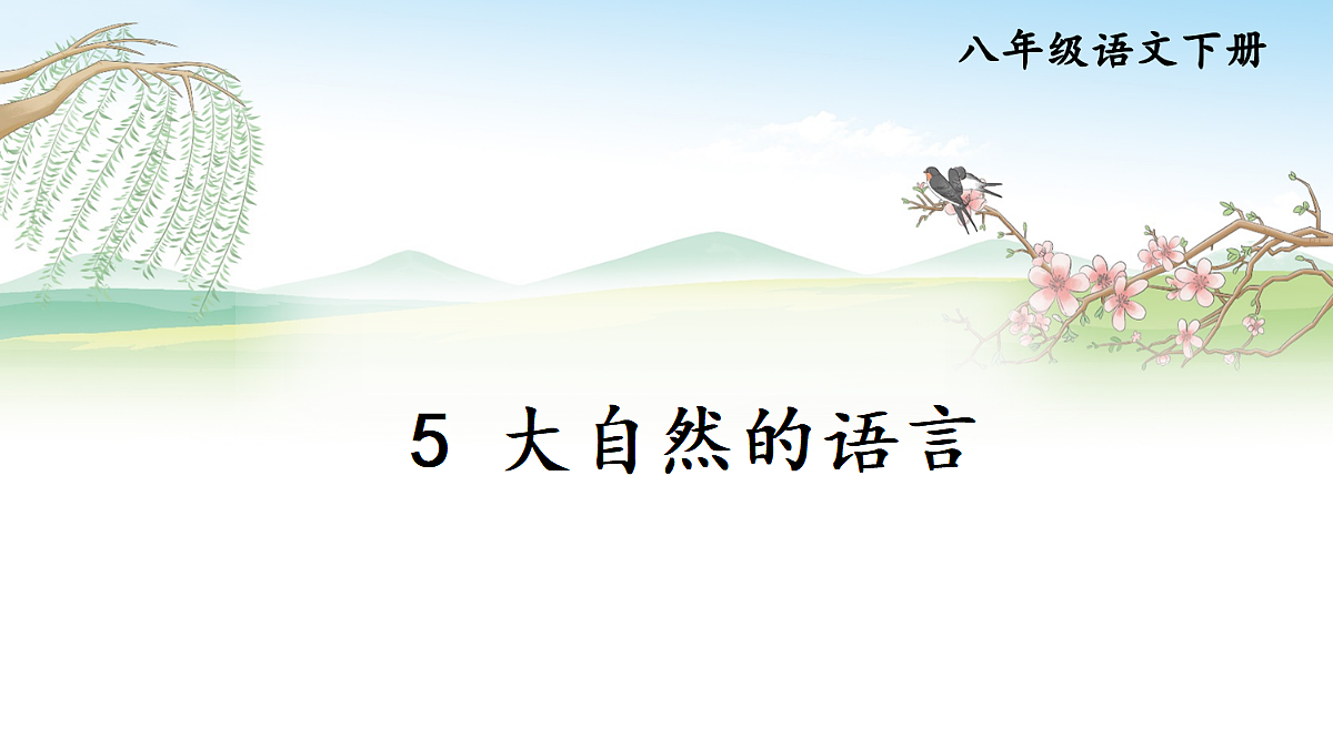 18128552第2页