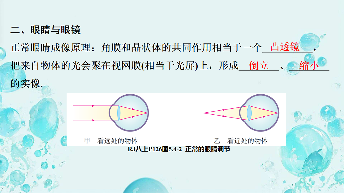 18128688第4页