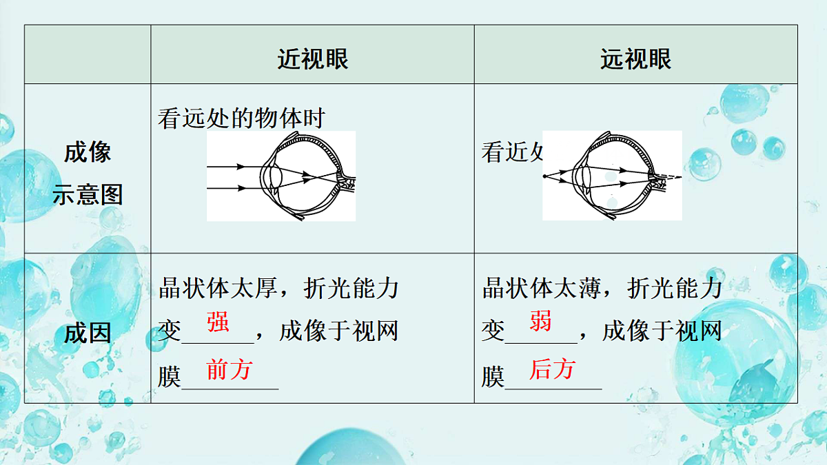 18128688第5页