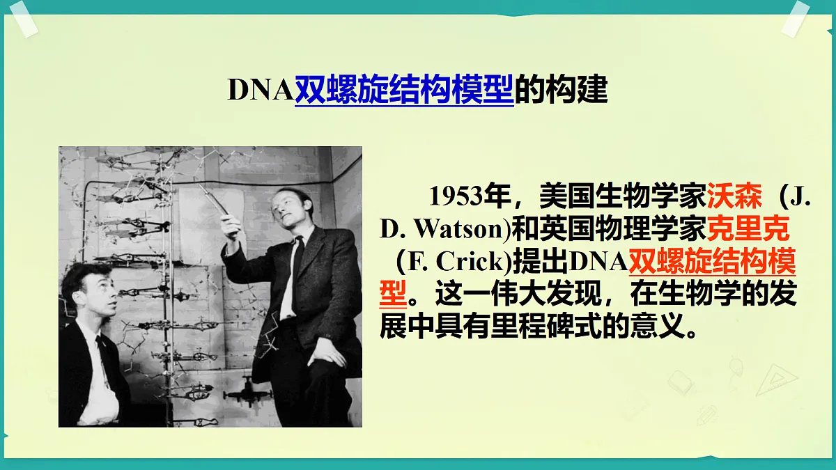18128711第4页