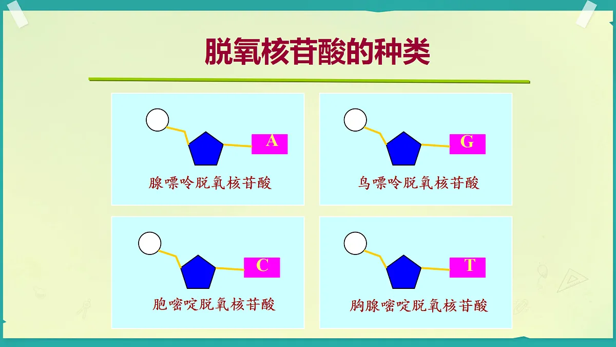 18128711第7页