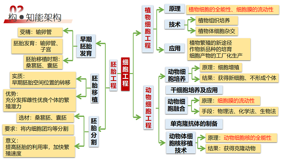 18129821第7页