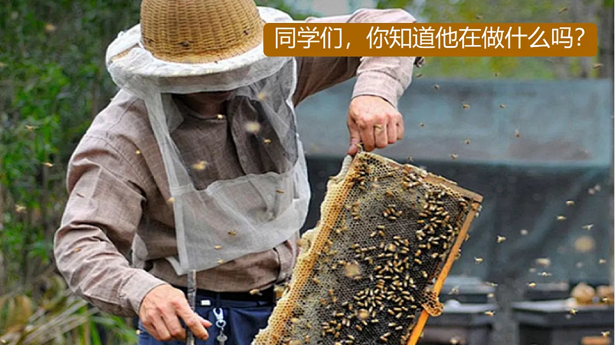 18130537第2页