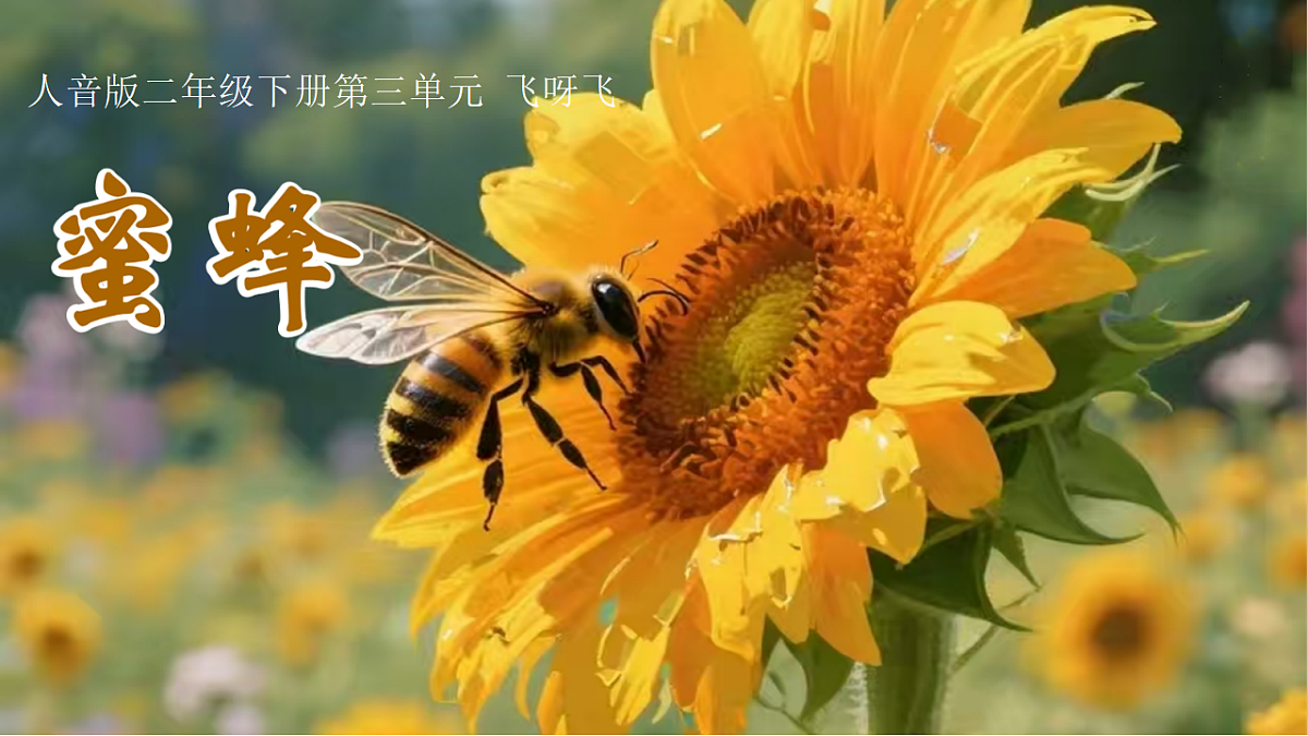 18130541第2页
