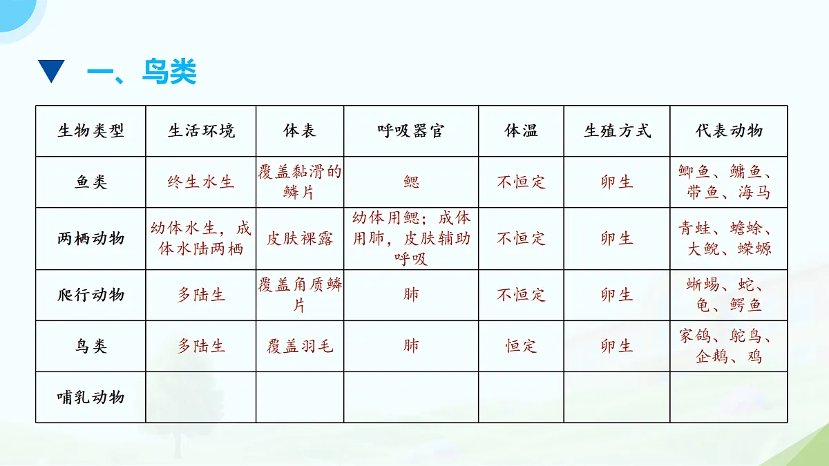 18133441第3页