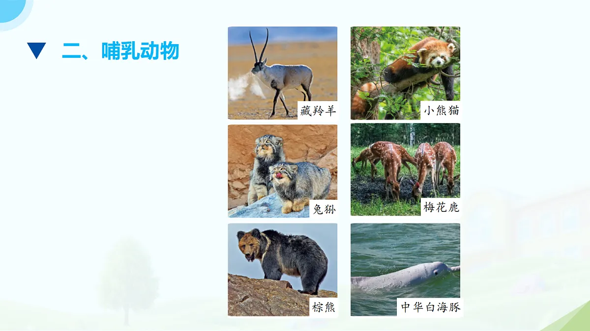18133441第4页