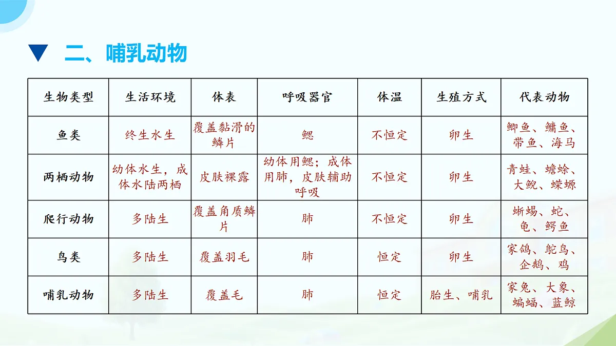 18133441第5页