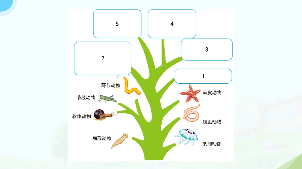 18133441第6页